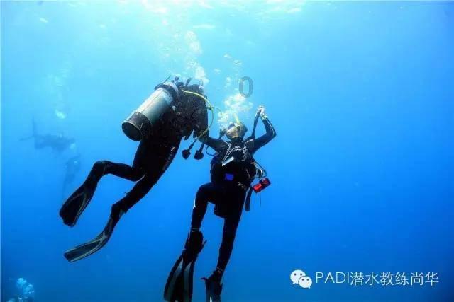 独步竹林